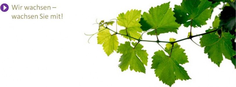 Karriere_110822_300